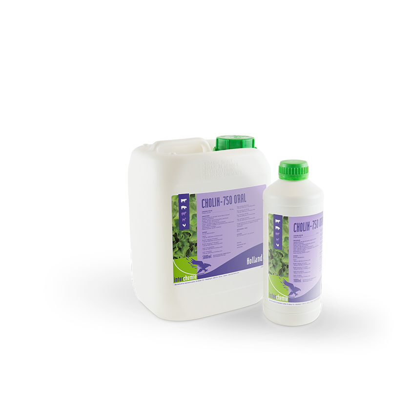 Cholin-750 Oral