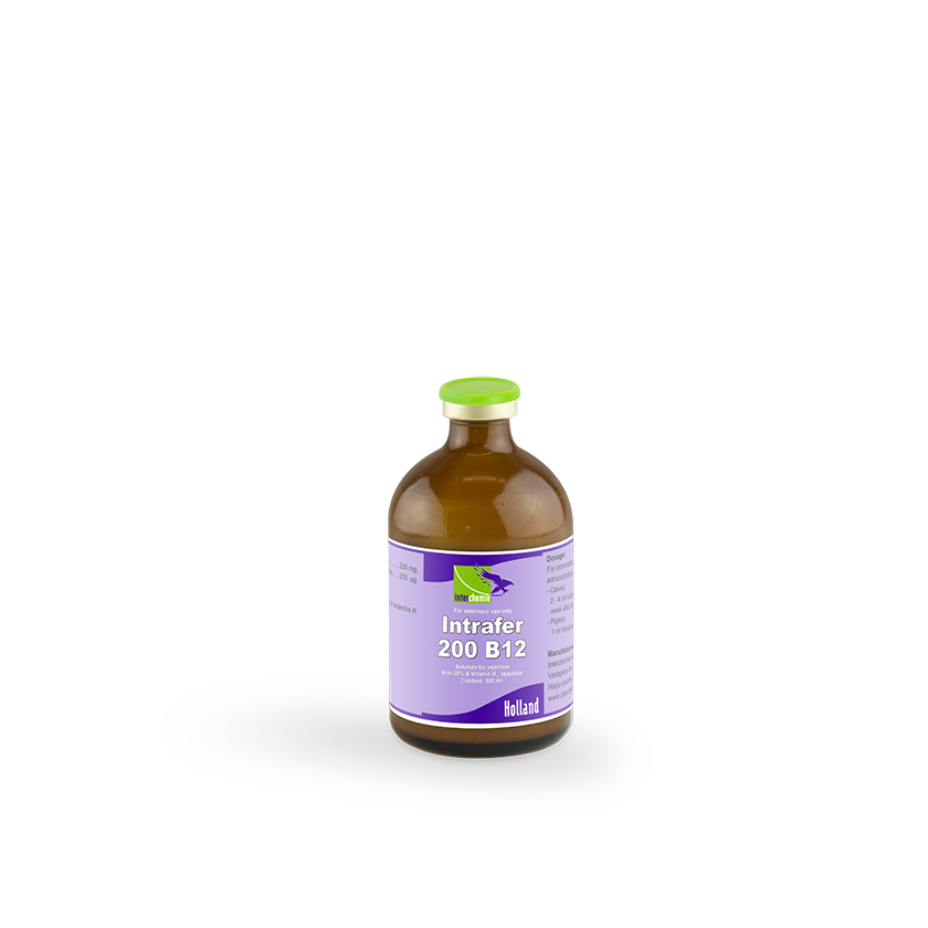 Intrafer-200 B12
