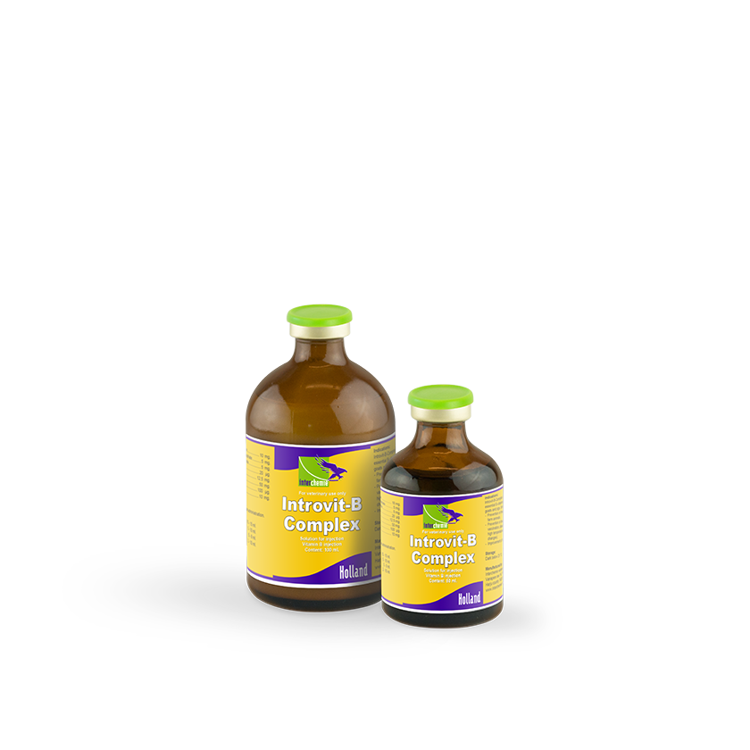 Introvit-B-Complex