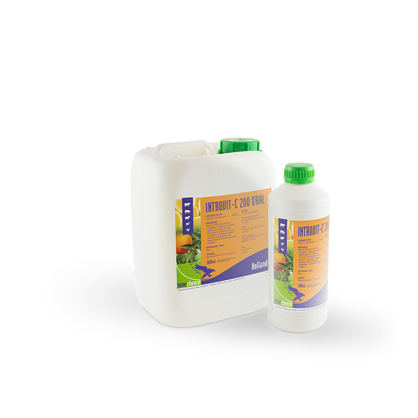 Introvit-C-200 Oral