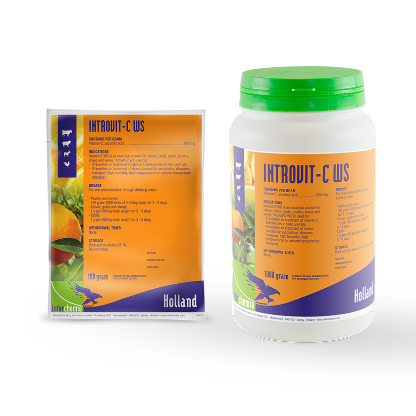Introvit-C WS