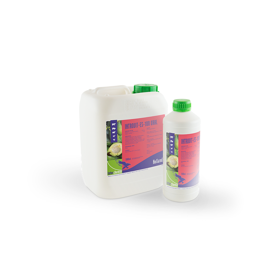 Introvit-ES-100 Oral