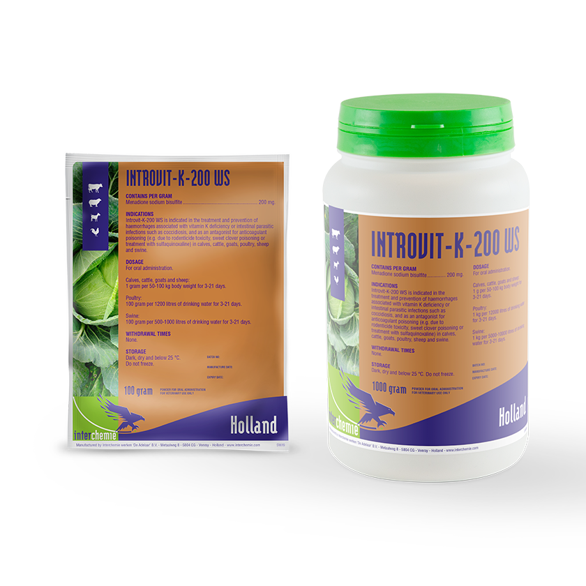 Introvit-K-200 WS
